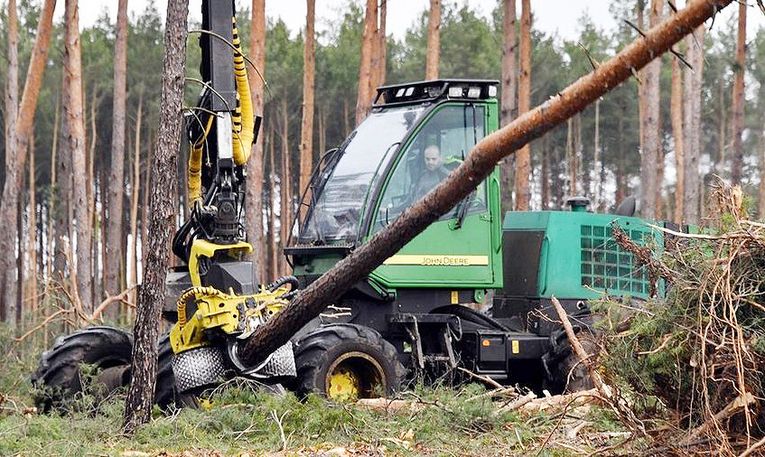 Site clearing for Tesla in Germany