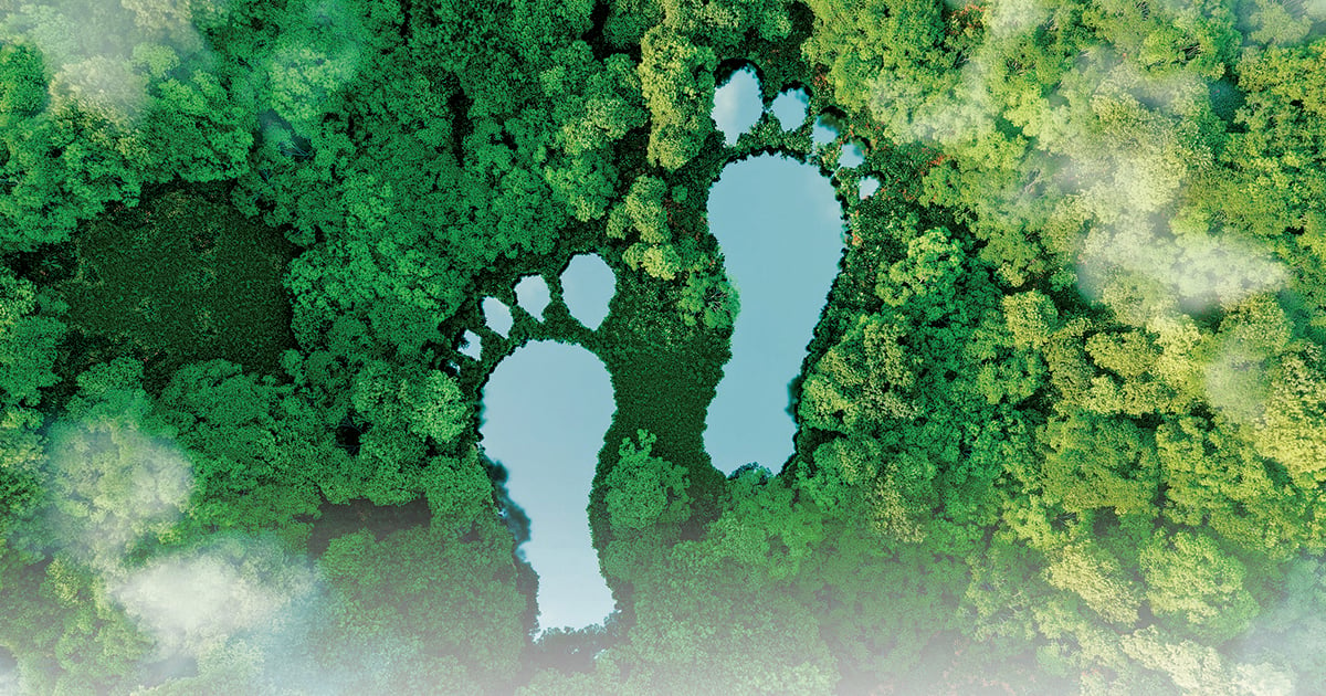 Carbon footprints